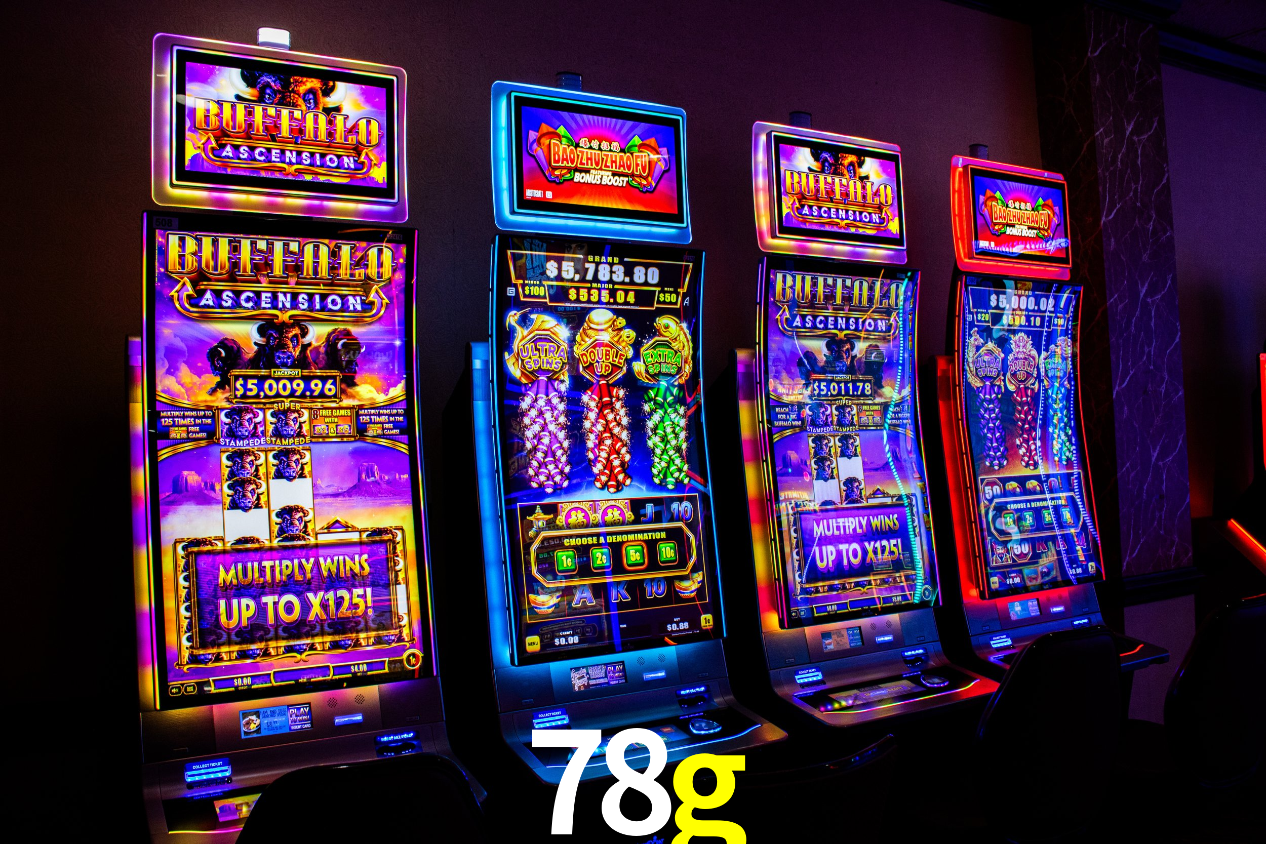 A Emoção da Loteria na 78g: Uma Chance de Mudança de Vida